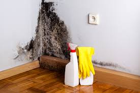 Best Residential Mold Inspection & Testing  in Centralia, IL